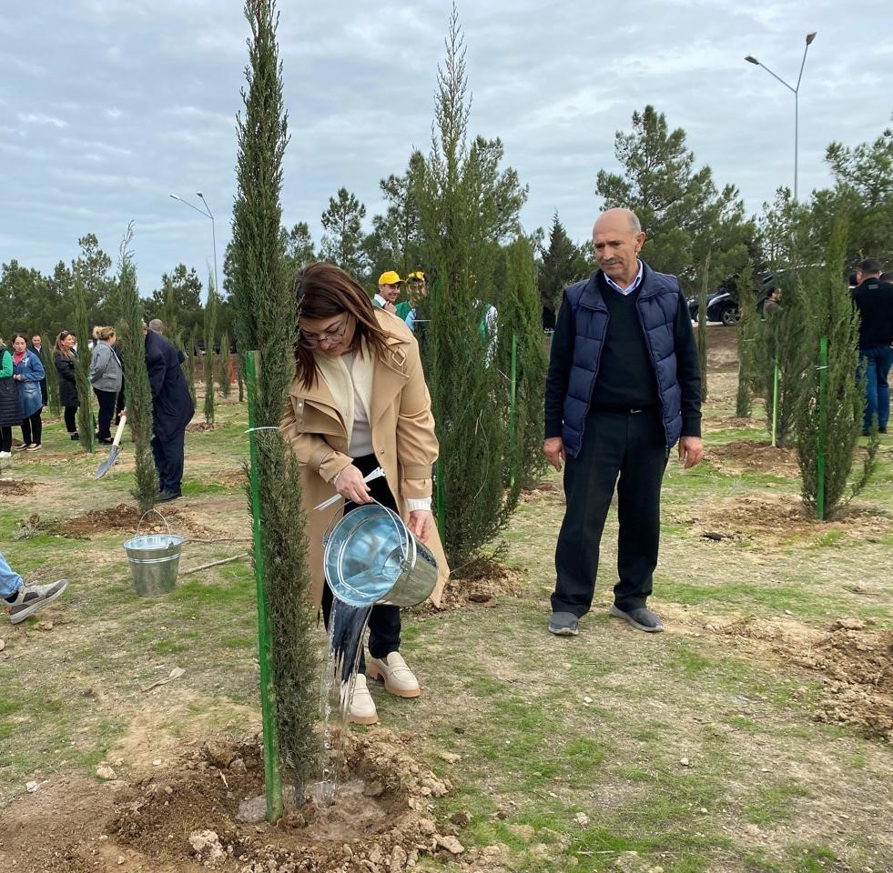 Xəzər rayonunda növbəti ağacəkmə aksiyası keçirilib - FOTOLAR